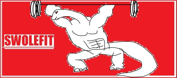 cropped-swolefitlogo5.jpg